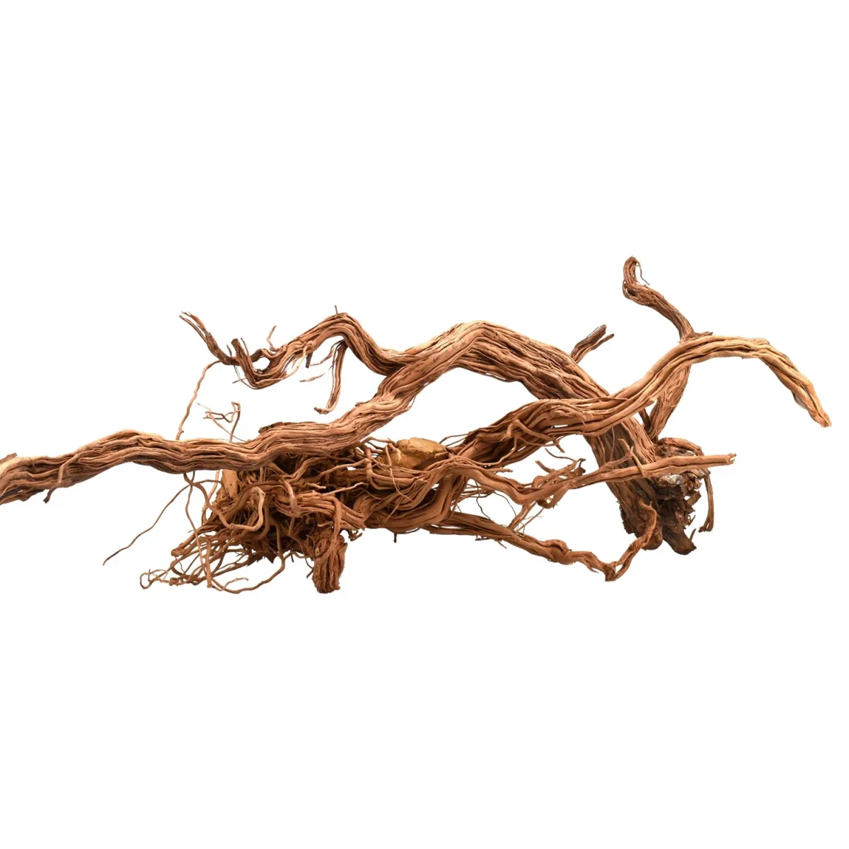 Azalea Wood - immagine 5