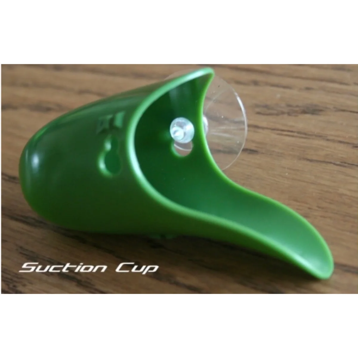 Tad-Pool (riproduzione rane) - immagine 5