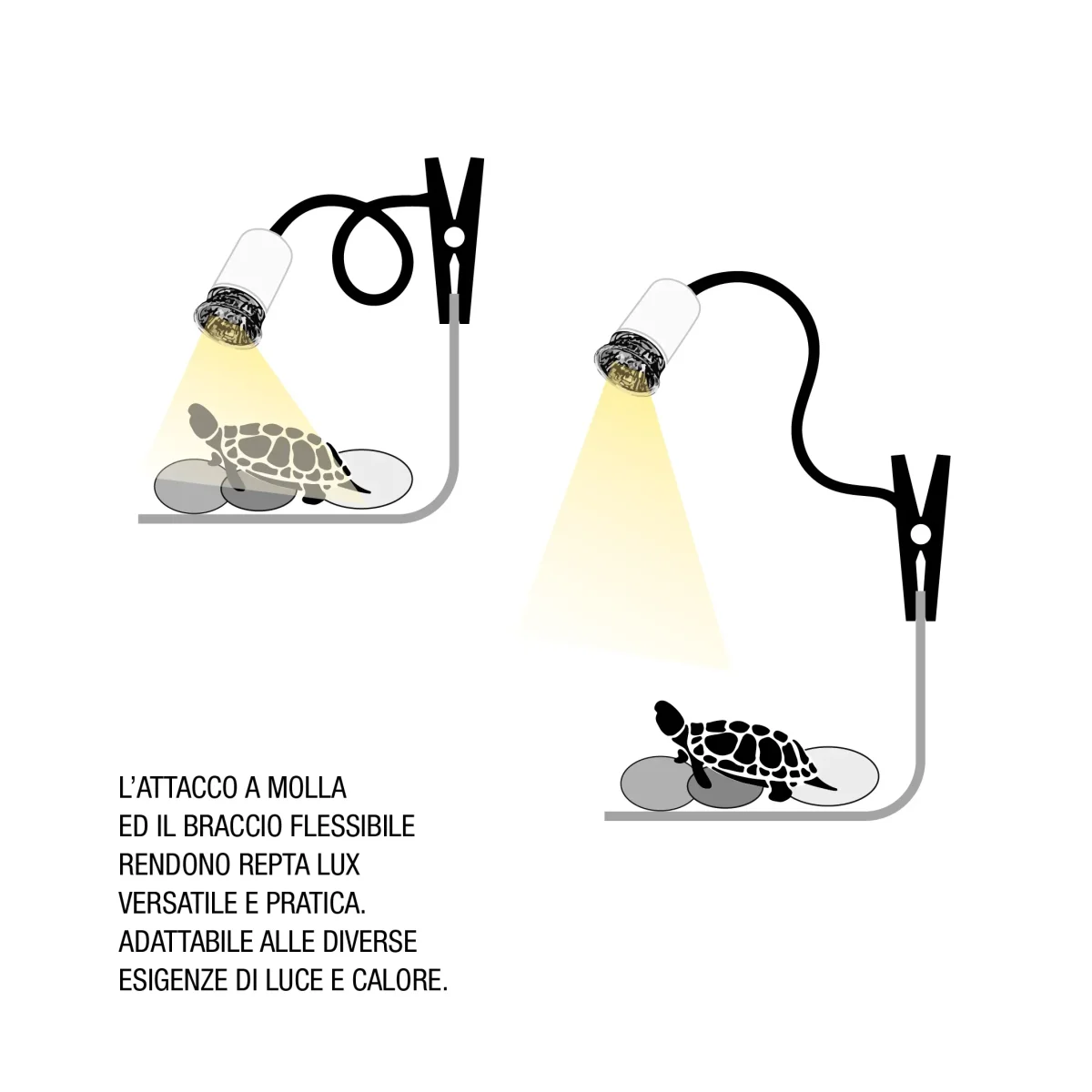 Repta Lux - immagine 4