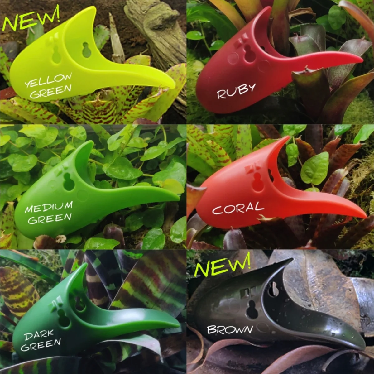 Tad-Pool (riproduzione rane) - immagine 3