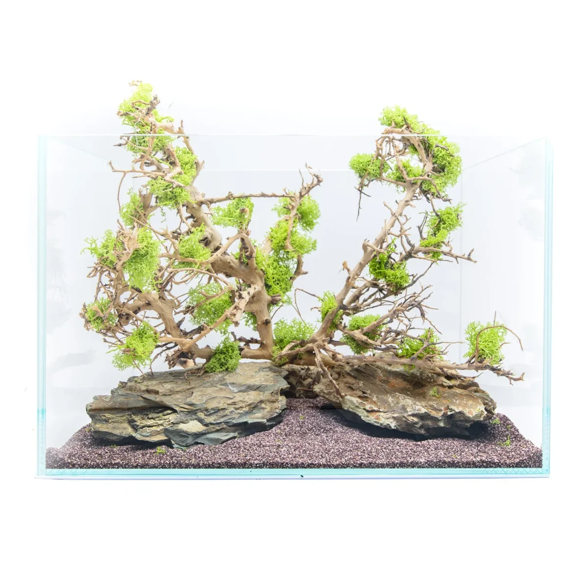 Aqua Acquario in vetro Modello Extrachiaro - immagine 3