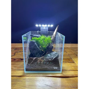 Acquario da scrivania “starter kit”