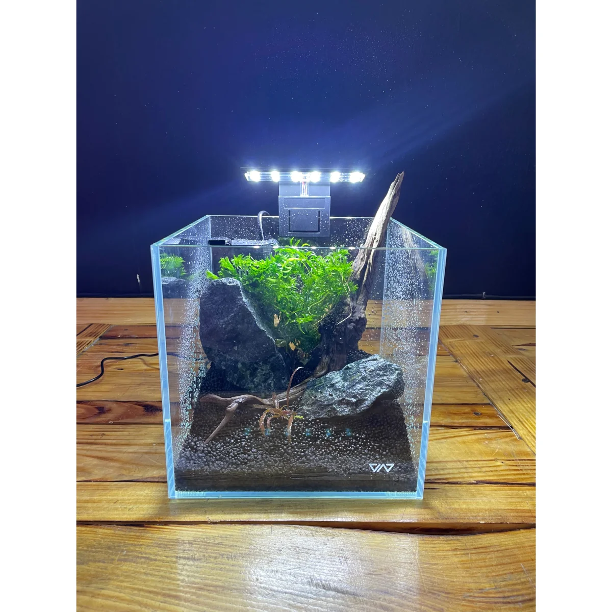 Acquario da scrivania “starter kit”