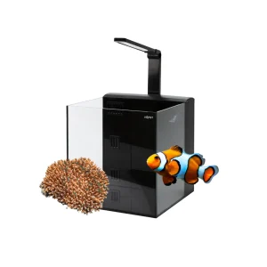 Kubic rear 50 kit “Starter kit”