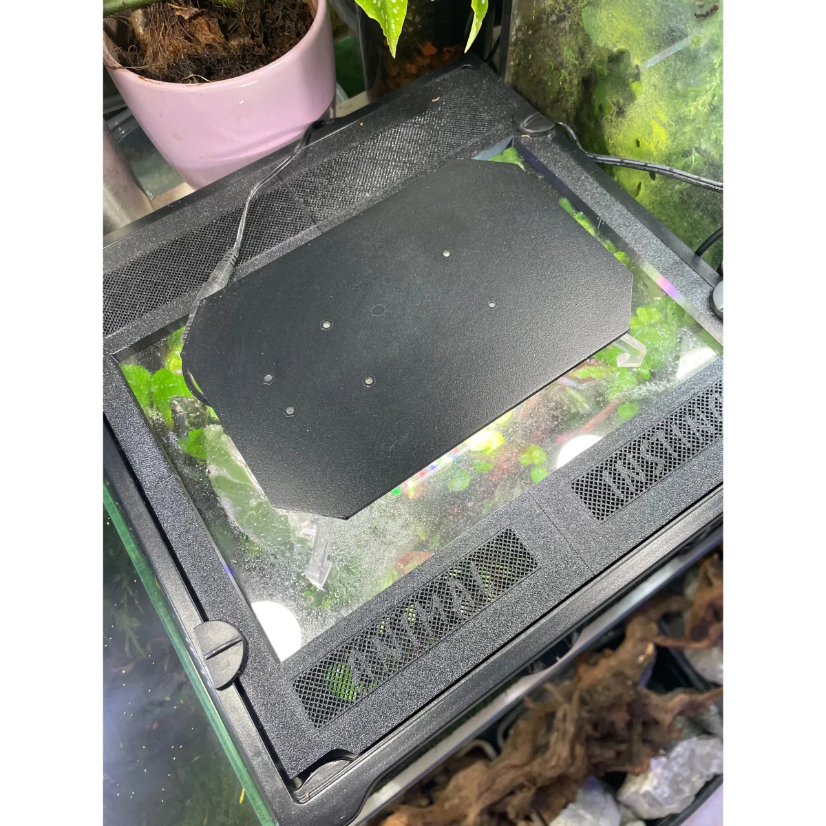 Coperchio terrario Animal Instinct - immagine 4