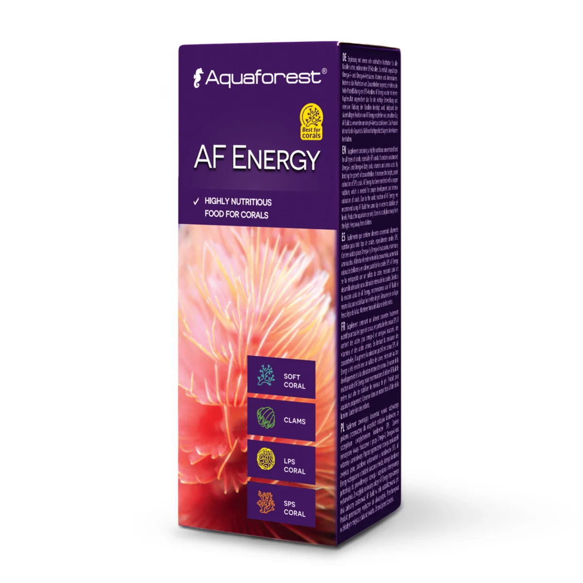 AF Energy - immagine 2