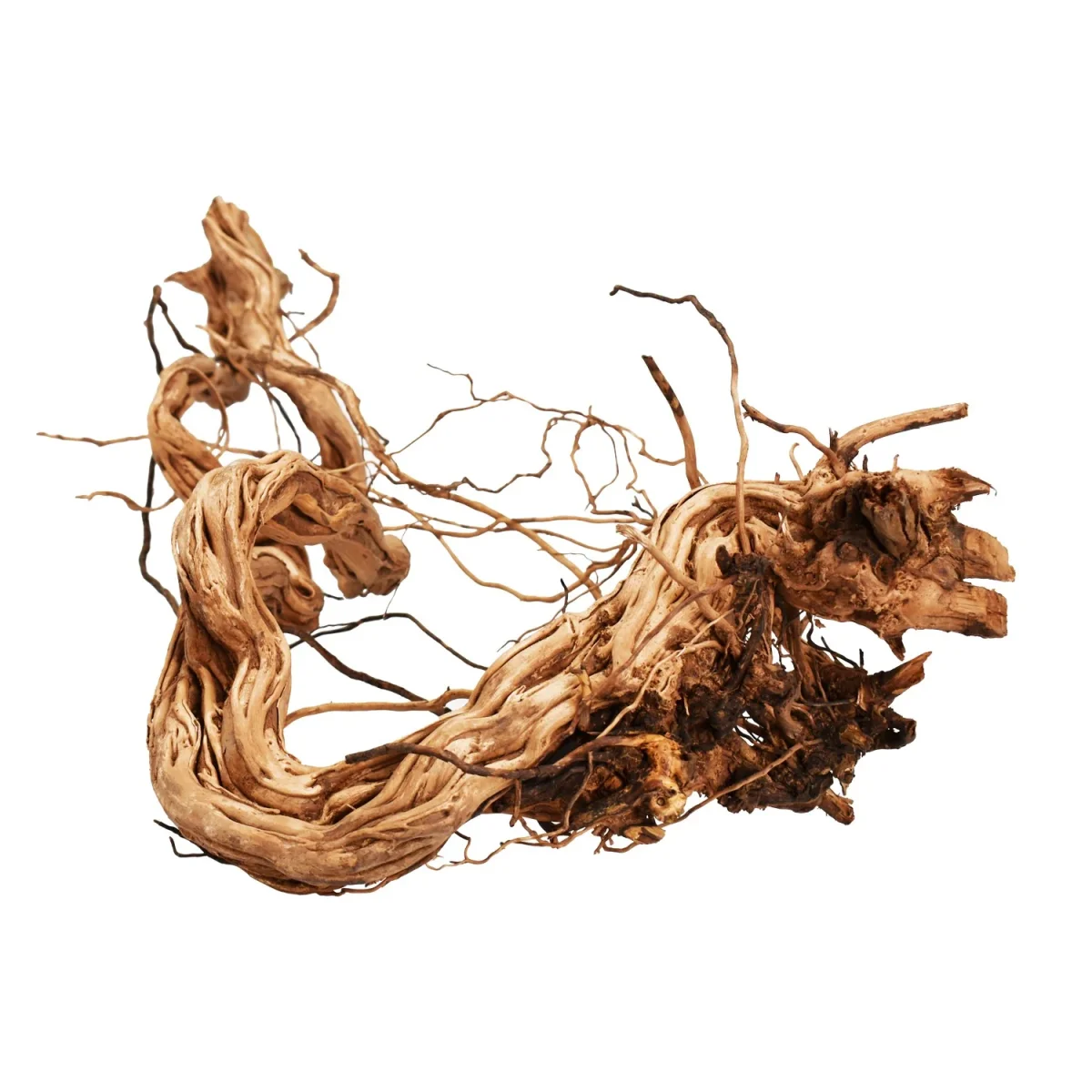 Azalea Wood - immagine 2