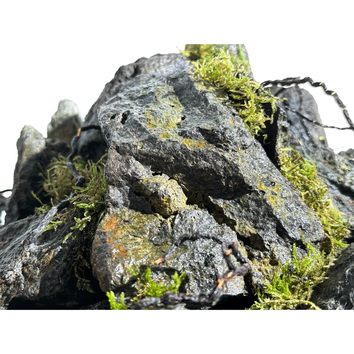 Savage stone Wio - immagine 3