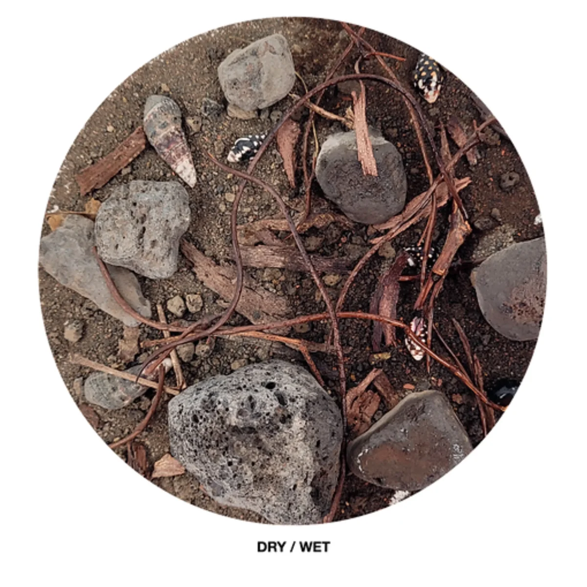 Beck Riverbed - immagine 2