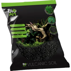 BioArt Vulcanic soil - substrates