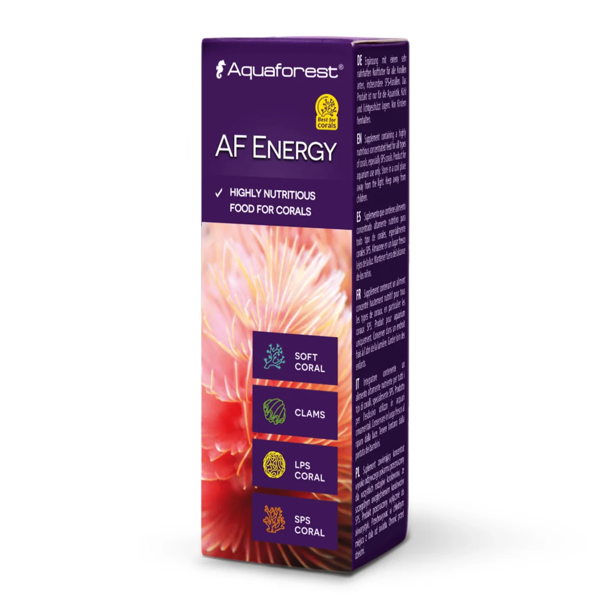 AF Energy - immagine 3