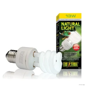 Natural light Compact 13w