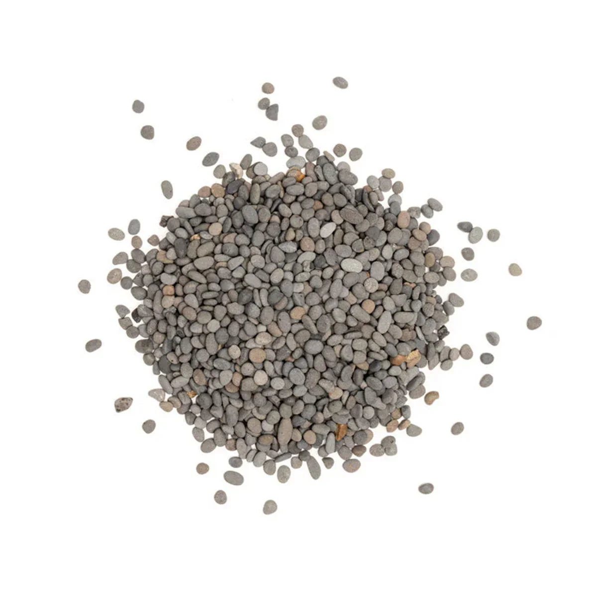 Wild sand NATURAL LAGOON - immagine 4