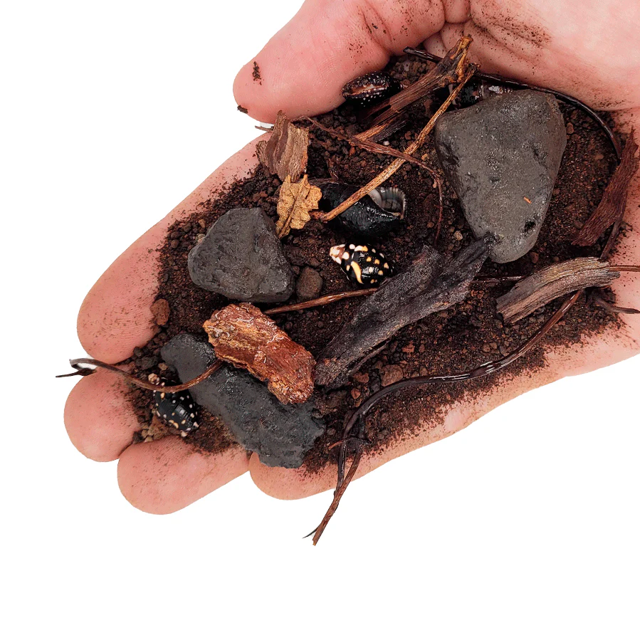 Beck Riverbed - immagine 3