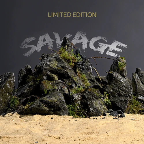 Savage stone Wio - immagine 6