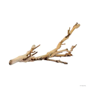 Exoterra Forest Branch