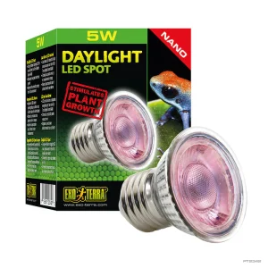 Daylight LED Spot Nano 5W