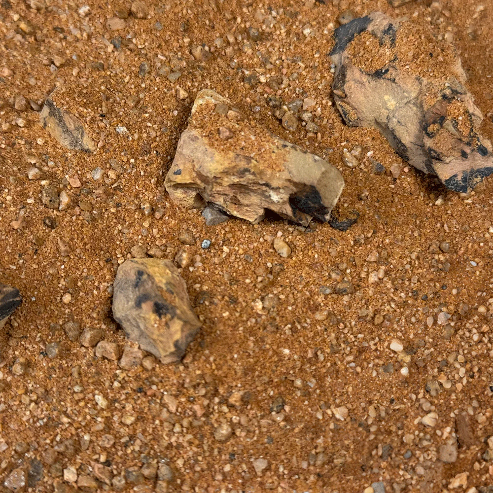 Golden Dragon Riverbed Wio - immagine 3