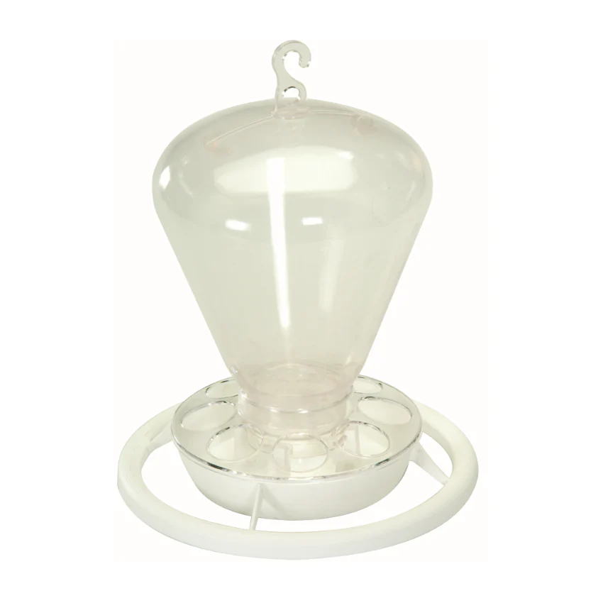 Mangiatoia / Abbeveratoio Comber - immagine 2