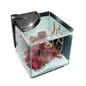 NewAmore 30 nero Acquario design