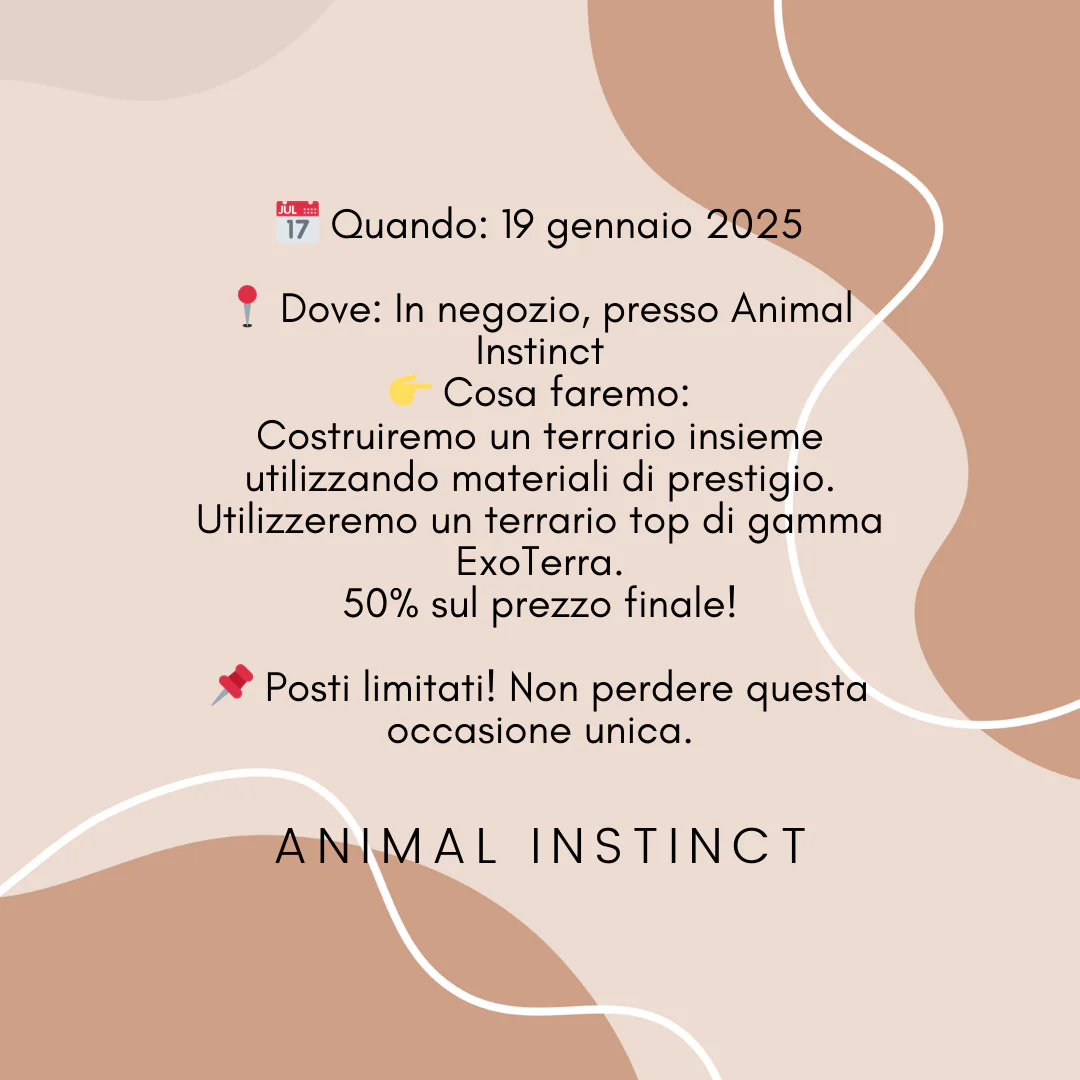 🎉 EVENTO ESCLUSIVO: WORKSHOP CON PESCETTO - immagine 2