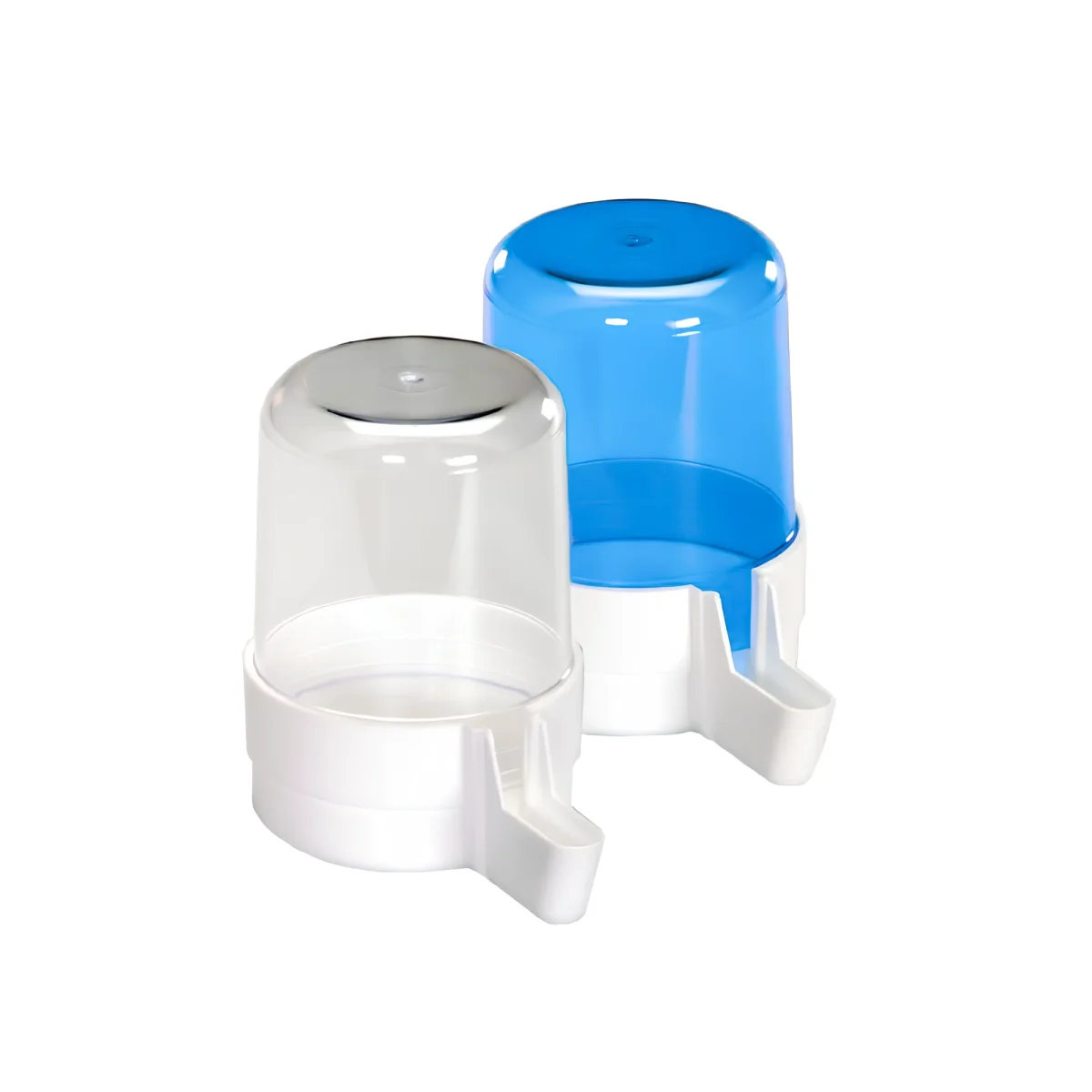 Sifone Reggio Week-end - immagine 2