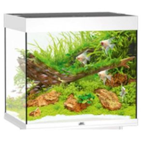 Lido 200 bianco Acquario Juwel completo