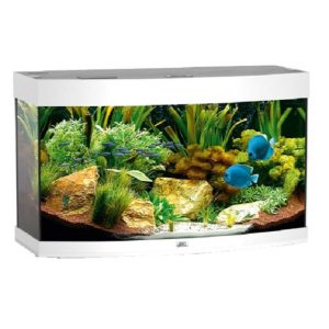 Vision 180 bianco Acquario Juwel completo