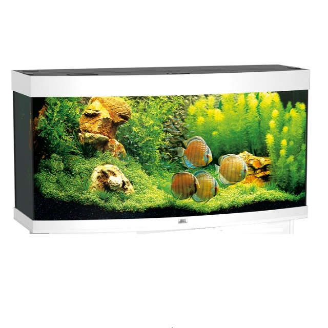 Vision 260 bianco Acquario Juwel completo - immagine 2