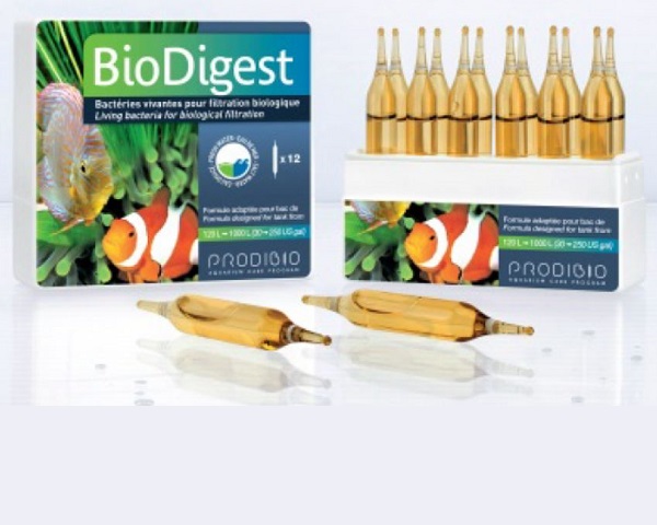BioDigest 12 ampolle i migliori batteri per acquario - immagine 2