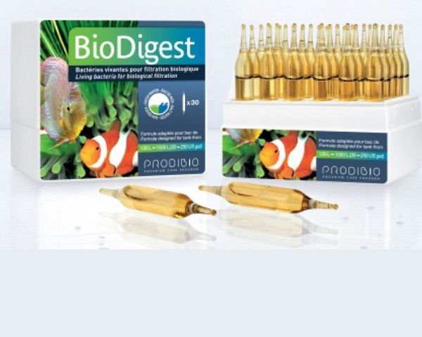 BioDigest 30 ampolle i migliori batteri per acquario