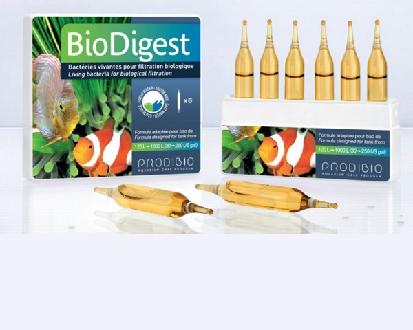 BioDigest 6 ampolle i migliori batteri per acquario - immagine 2