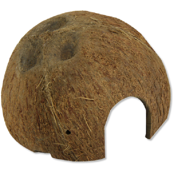 Cocos Cava 1-2 L Grotta Di Noce Di Cocco