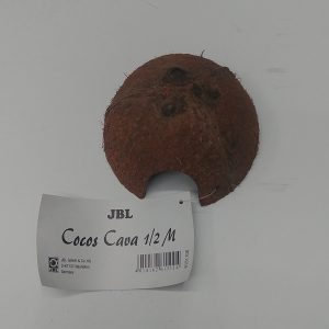 Cocos Cava 1-2 M Grotta Di Noce Di Cocco