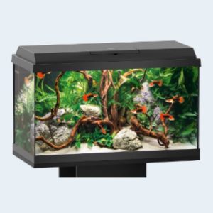 Primo 60 Acquario nero Juwel completo