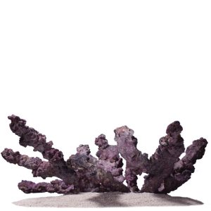 Life Rock Branch 1kg