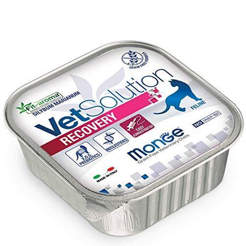 Monge Vet Solution Recovery 100gr - immagine 2