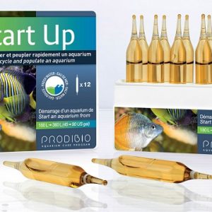 Start Up 12 ampolle batteri per acquario