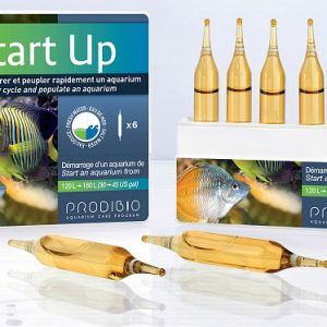 Start Up 6 ampolle batteri per acquario