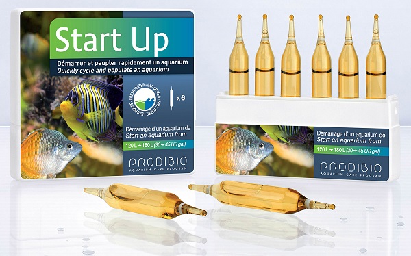 Start Up 6 ampolle batteri per acquario