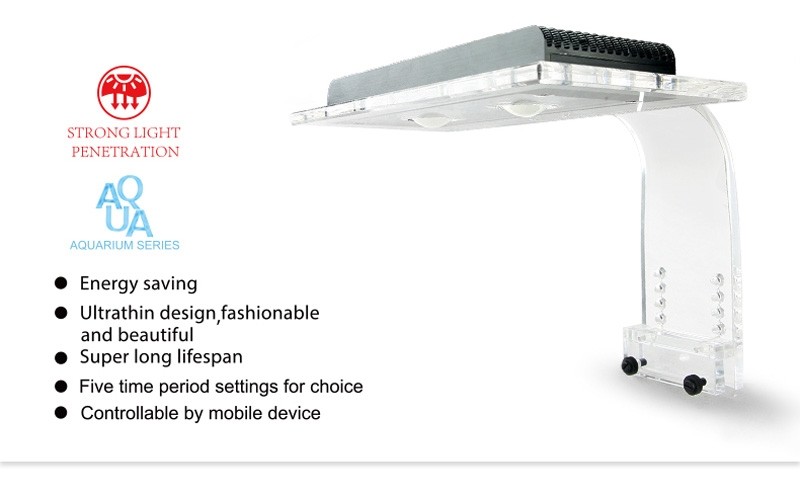 Zetlight ZA-1201 – WI-FI - immagine 2