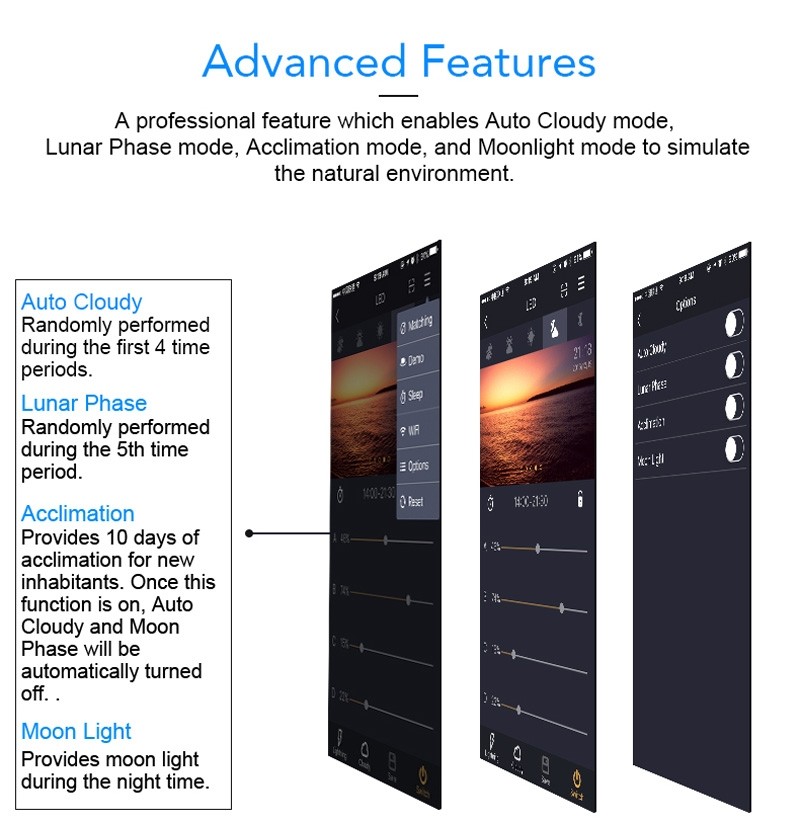 Zetlight ZA-1201 – WI-FI - immagine 4